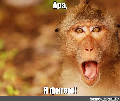 4d236f277d02632f202c66271fe52197.jpg
